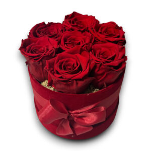 Welurowy flowerbox wieczne róże czerwone