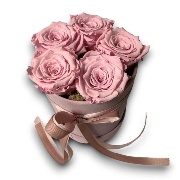 Welurowy flowerbox wieczne róże różowe 5 sztuk