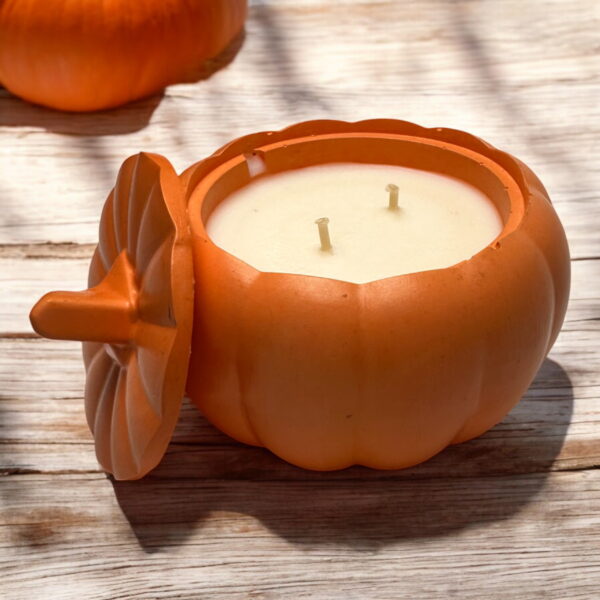 38b094100ea9c814907d6900ac1201e8-1.jpg Świeca sojowa zapachowa w gipsowej dyni