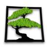 Obraz drzewo Bonsai chrobotek