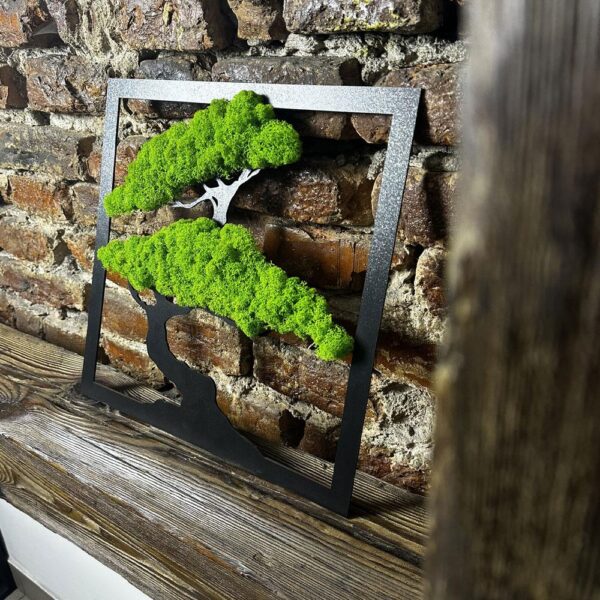 Obraz drzewo Bonsai chrobotek